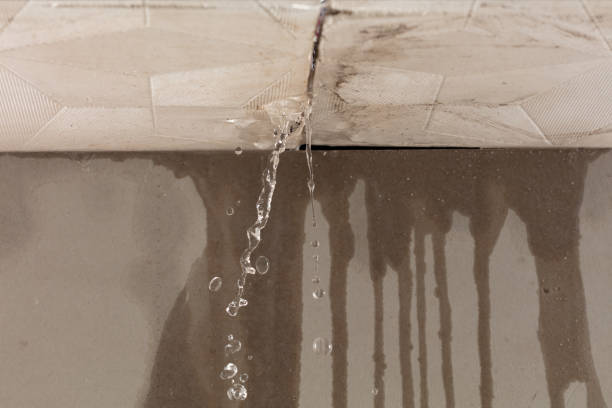 Professional Structural Drying technician working in Barryton, MI